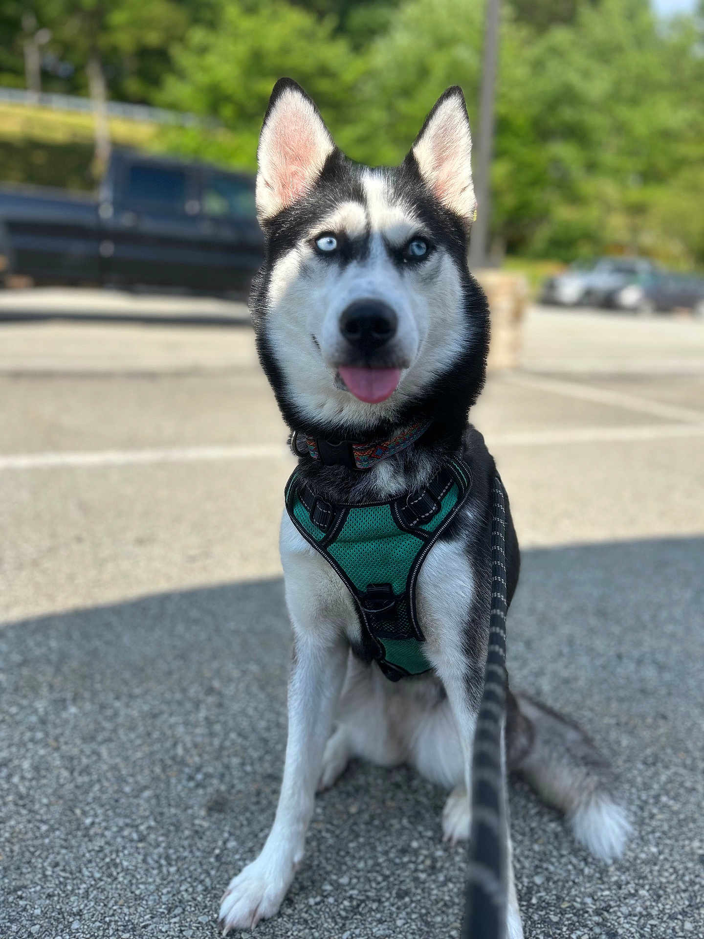 Zoe