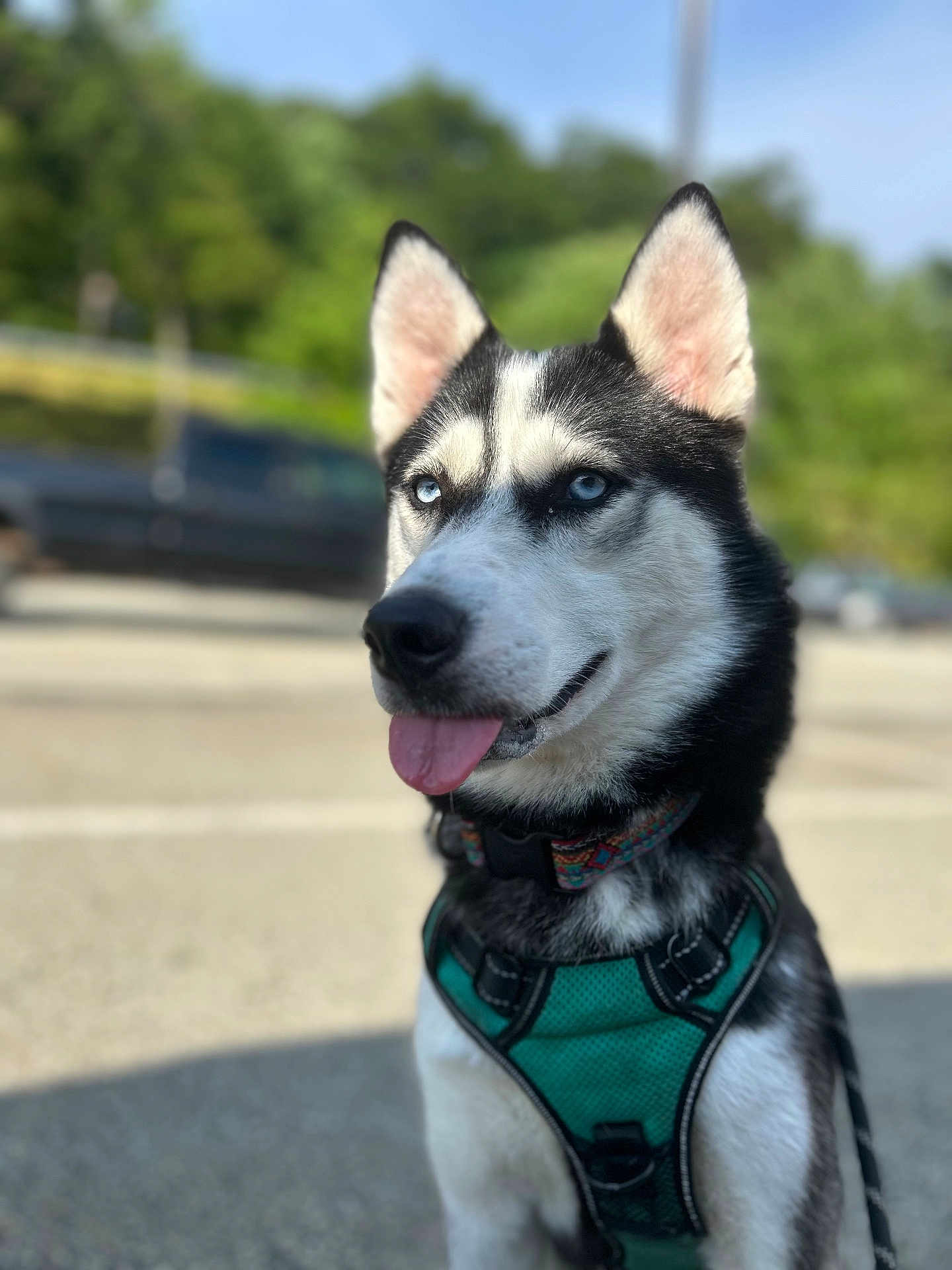 Zoe