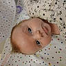 baby, bed, bedding, blanket, child, close_up, curious, eyes, face, floral_pattern, head, indoors, infant, light_hair, looking_at_camera, lying_down, nursery, polka_dots, portrait, safe