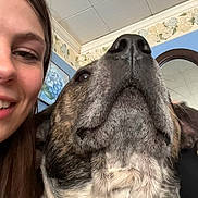 Zeus joined the competition — help win amazing prizes! dog, person, face, smile, indoor, wallpaper, mirror, ceiling, portrait, close_up, brown_hair, large_dog, fur, nose, head, happy, young_woman, home, animal, pet