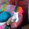 cat, white_cat, blue_eyes, armchair, leather_chair, crocheted_blanket, multicolored_blanket, teal_pillow, indoor, furniture, pet, relaxing, cozy, colorful, home, domestic_cat, resting, cute, animal, household