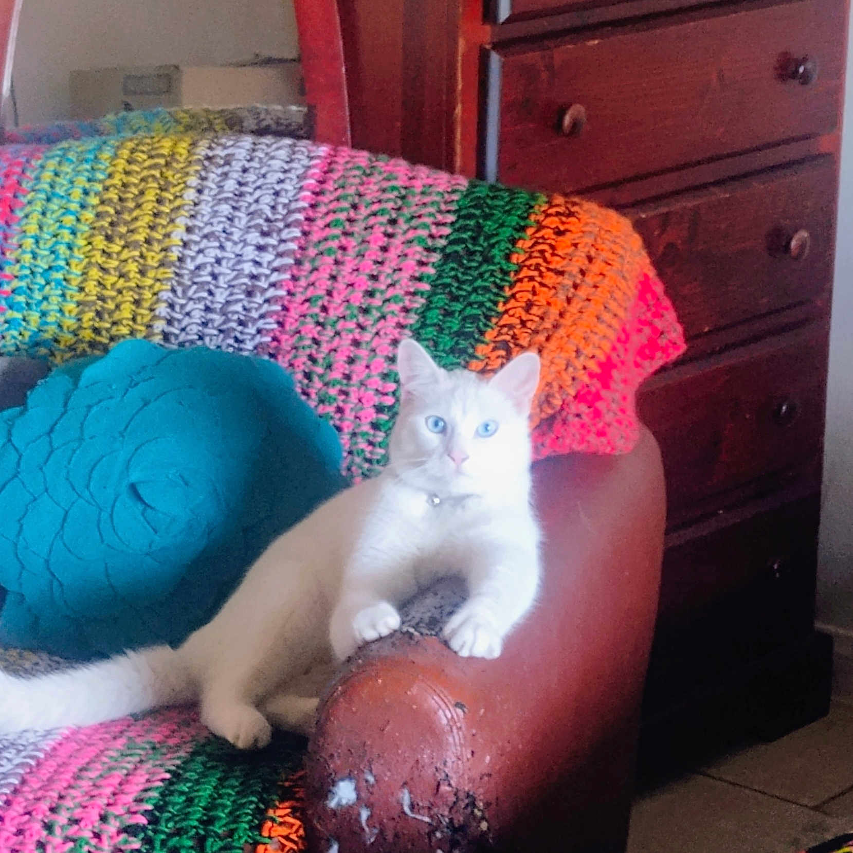 Jasper