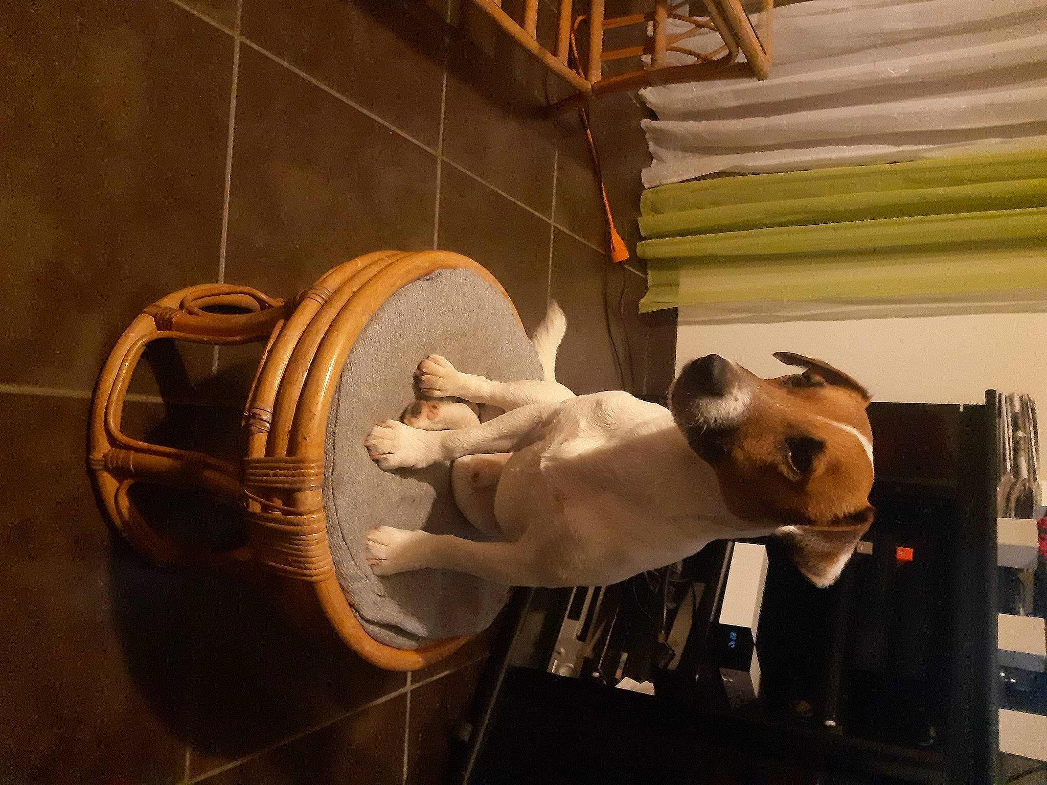 Marlo a rejoint le concours — aidez-le/la à gagner de superbes lots ! art, elbow, machine, metal, room, sculpture, statue, visual_arts, wood, working_animal, wrist