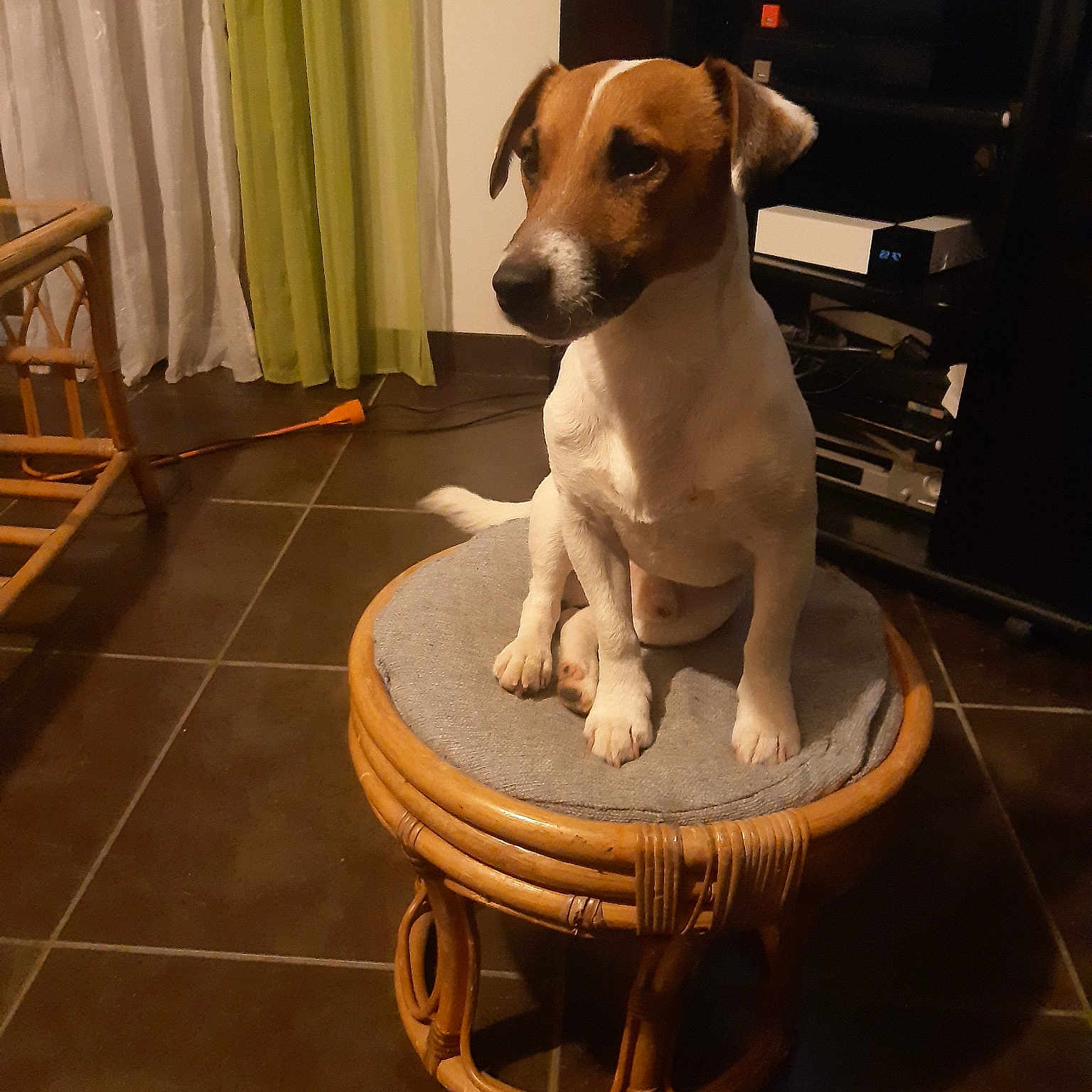 Marlo