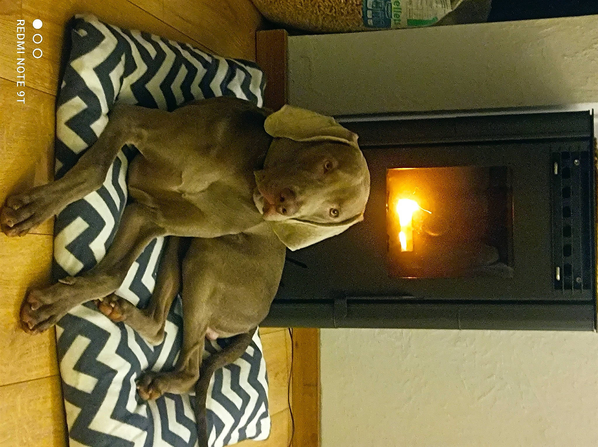 Thiago a rejoint le concours — aidez-le/la à gagner de superbes lots ! art, artifact, automotive_lighting, carving, display_device, flooring, fur, gas, heat, machine, personal_protective_equipment, room, sculpture, statue, stuffed_toy, toy, tree, visual_arts, wood