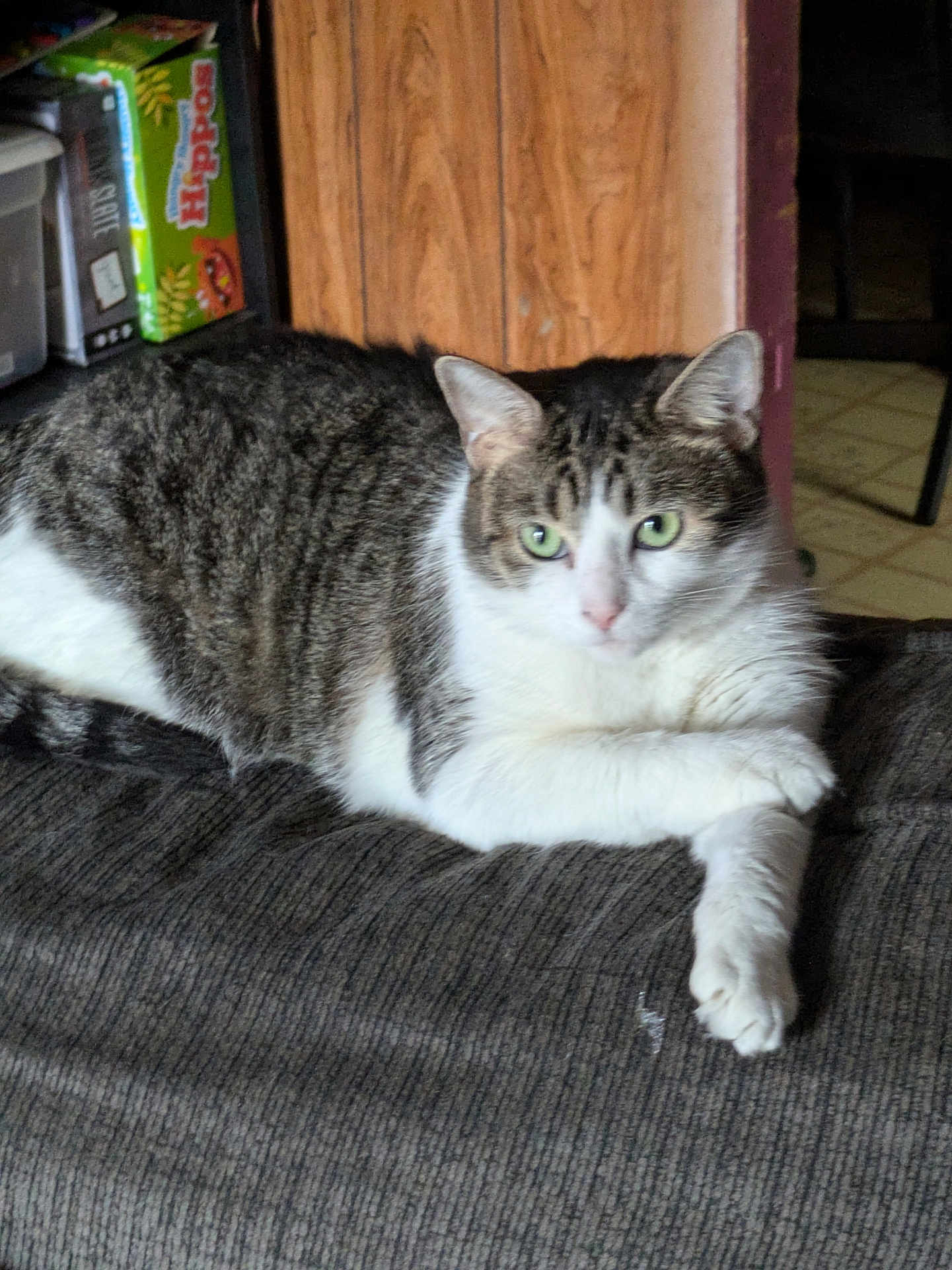 Bella