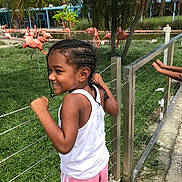 Queani is registered to the contest to win money with this photo: animal_watching, birds, braided_hair, casual_clothing, child, daytime, flamingos, grass, greenery, happy, metal_fence, nature, outdoor, palm_trees, park, pink_shorts, smiling, sunny, toddler, white_tank_top