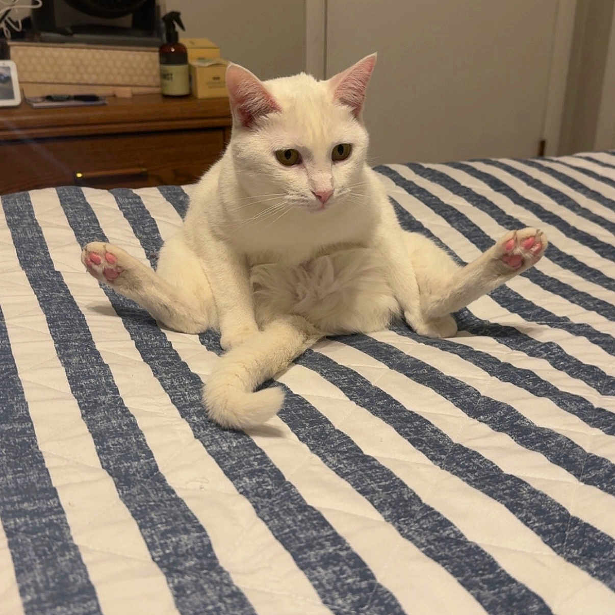 Snowball