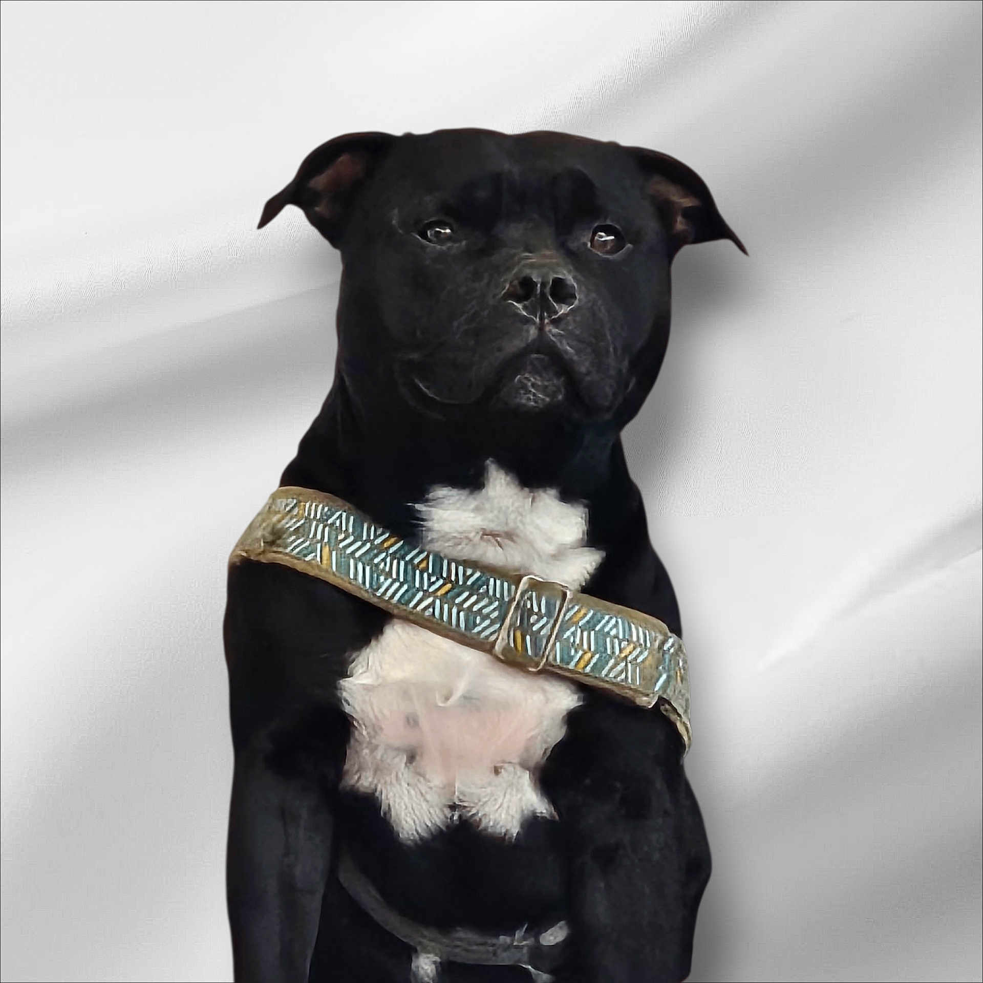 Tyson