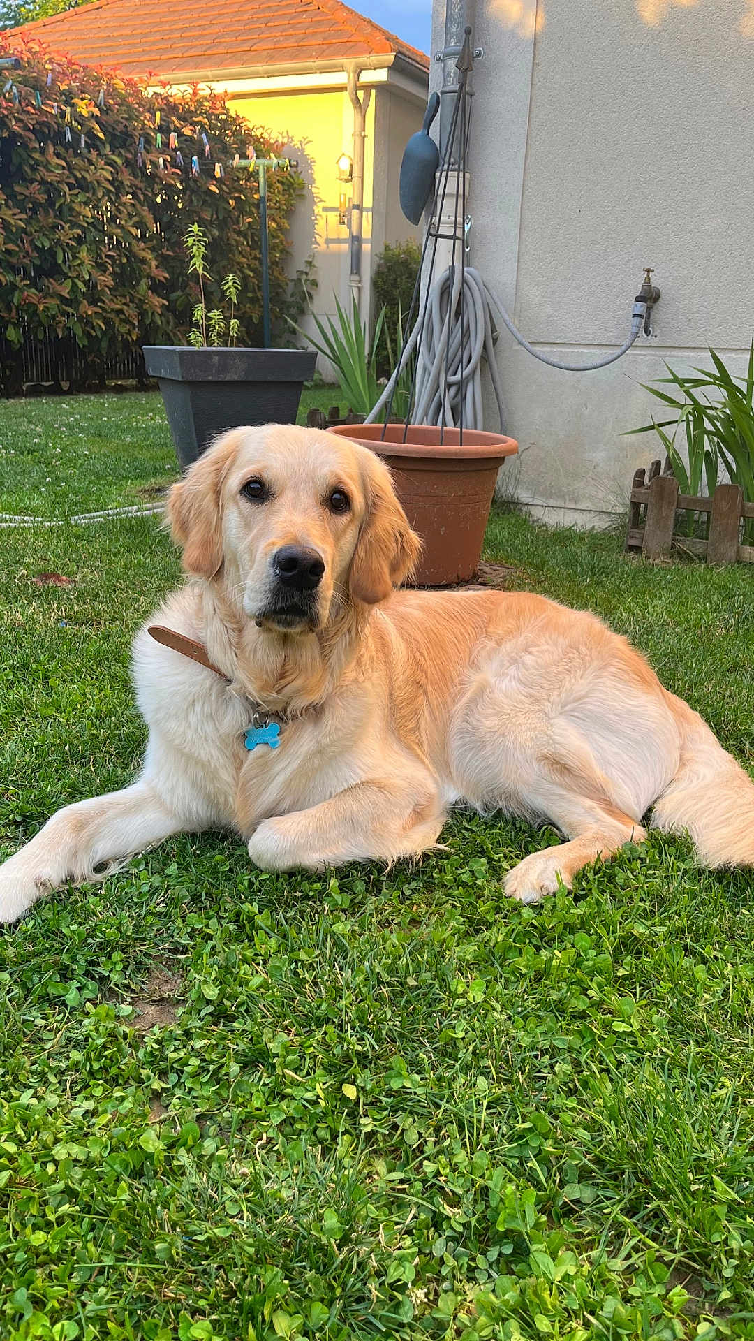 Nellie