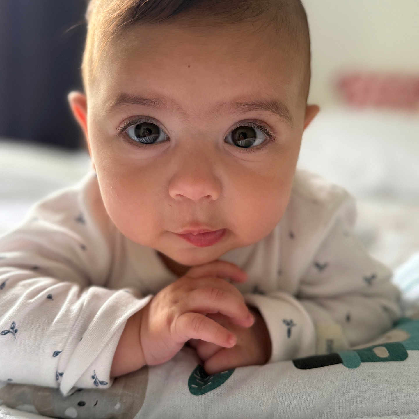 Dahlia Mila is registered to the contest to win money with this photo: baby, bed, blanket, child, closeup, curious, cute, eyes, face, hands, indoors, infant, lying_down, patterned_blanket, person, portrait, skin, soft_light, white_clothing, young