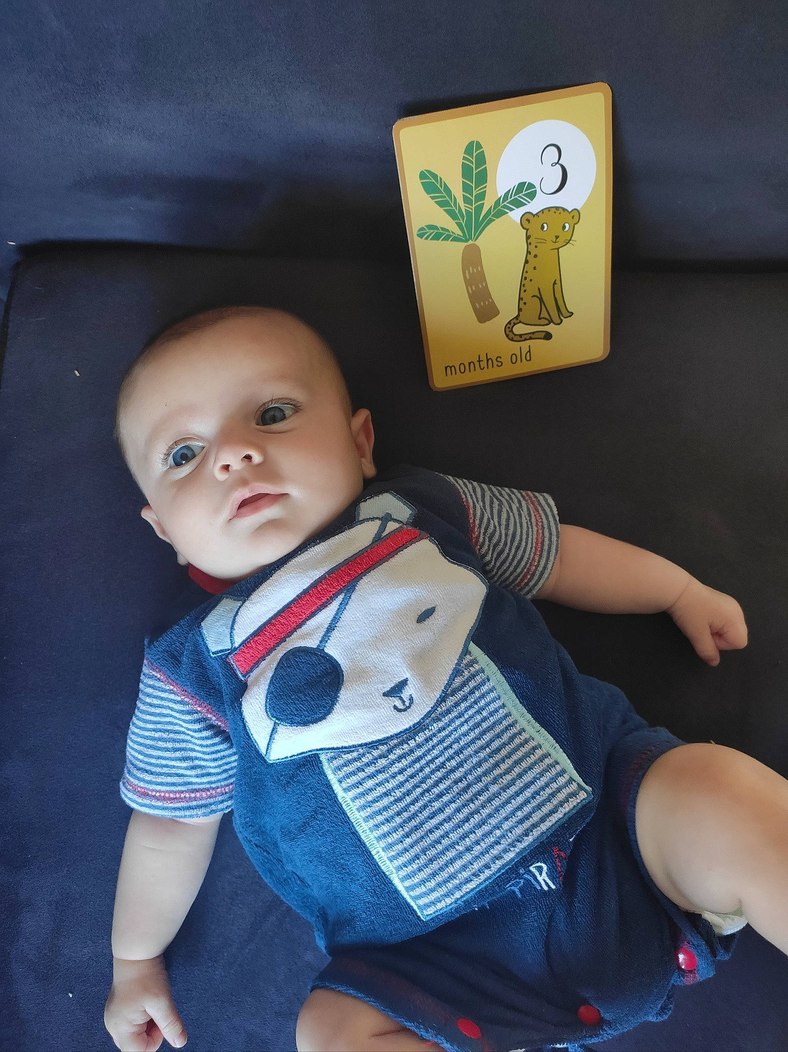 Estéban participe au concours pour gagner de l'argent avec cette photo : arm, baby, baby_toddler_clothing, cheek, child, electric_blue, eye, finger, happy, head, knee, person, pollinator, skin, sleeve, t_shirt, textile, thigh, toddler, trunk