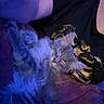 cat, sleeping, fluffy, gray_cat, person, arm, black_shirt, yellow_design, purple_blanket, indoor, cozy, resting, pet, feline, closeup, soft_texture, relaxation, domestic_animal, casual, blue_light