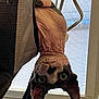 animal, cat, close_up, curious, cute, domestic, ears, eyes, face, furniture, hairless, indoor, looking, pet, screen, sphynx_cat, unique, upside_down, window, wrinkled_skin