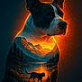 dog, cat, silhouette, sunset, mountains, lake, nature, landscape, artistic, glowing, forest, wildlife, outdoor, scenic, animal, double_exposure, fantasy, orange_glow, tranquil, majestic
