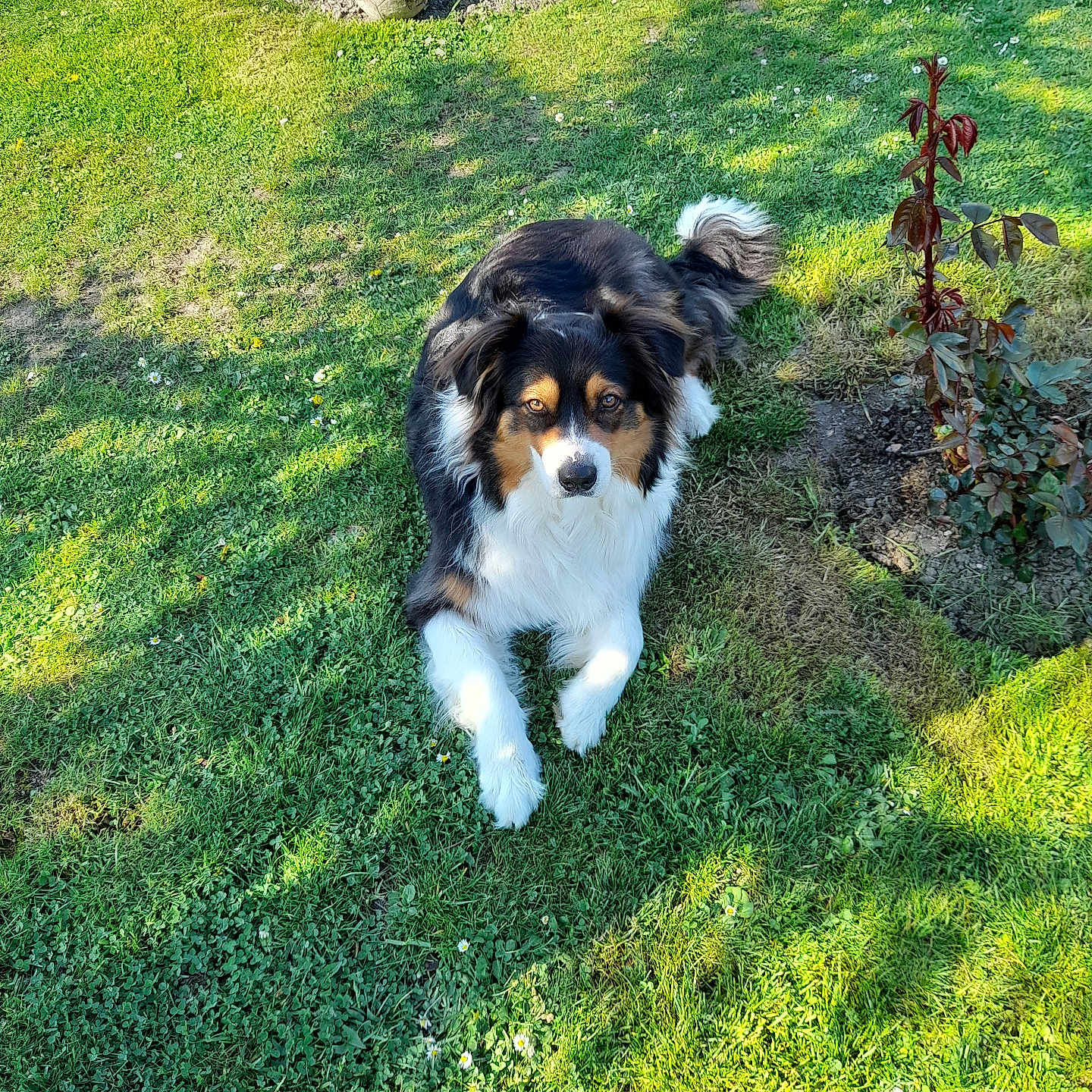 Légend