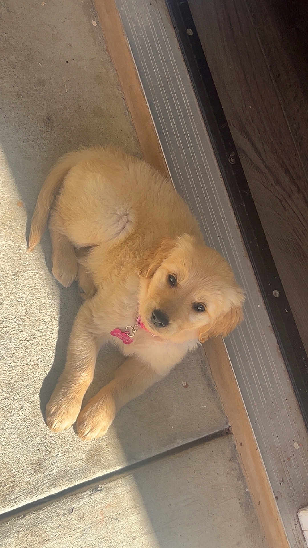Honey
