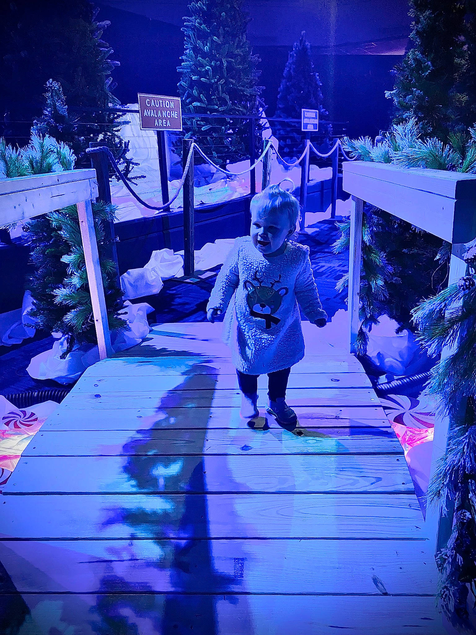 Brentley joined the competition — help win amazing prizes! architecture, blue, darkness, electric_blue, event, fun, leisure, magenta, midnight, people_in_nature, person, plant, purple, standing, symmetry, tints_and_shades, toddler, tree, water, winter