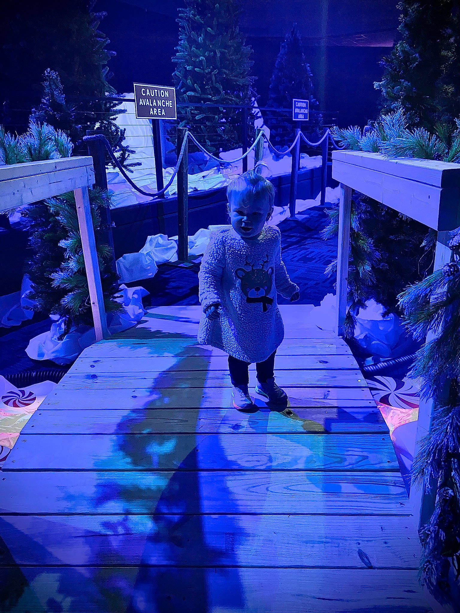 Brentley joined the competition — help win amazing prizes! blue, city, darkness, electric_blue, event, freezing, fun, landscape, leisure, magenta, midnight, pedestrian, people_in_nature, person, plant, purple, tints_and_shades, tree, walkway, water