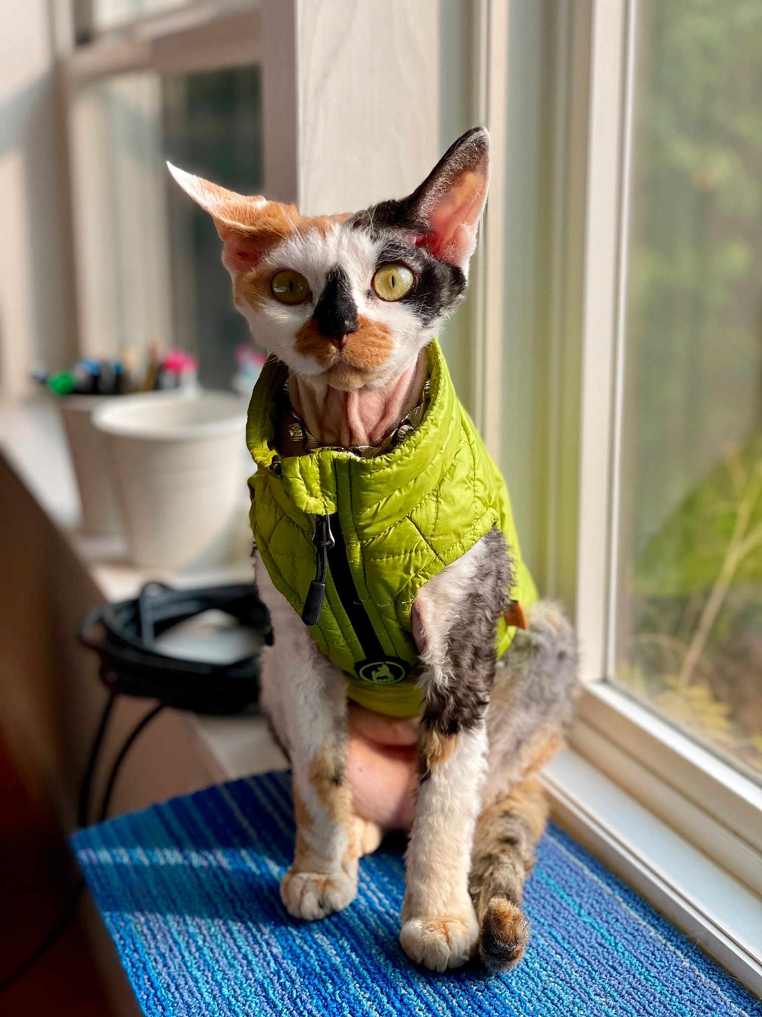 Peaches