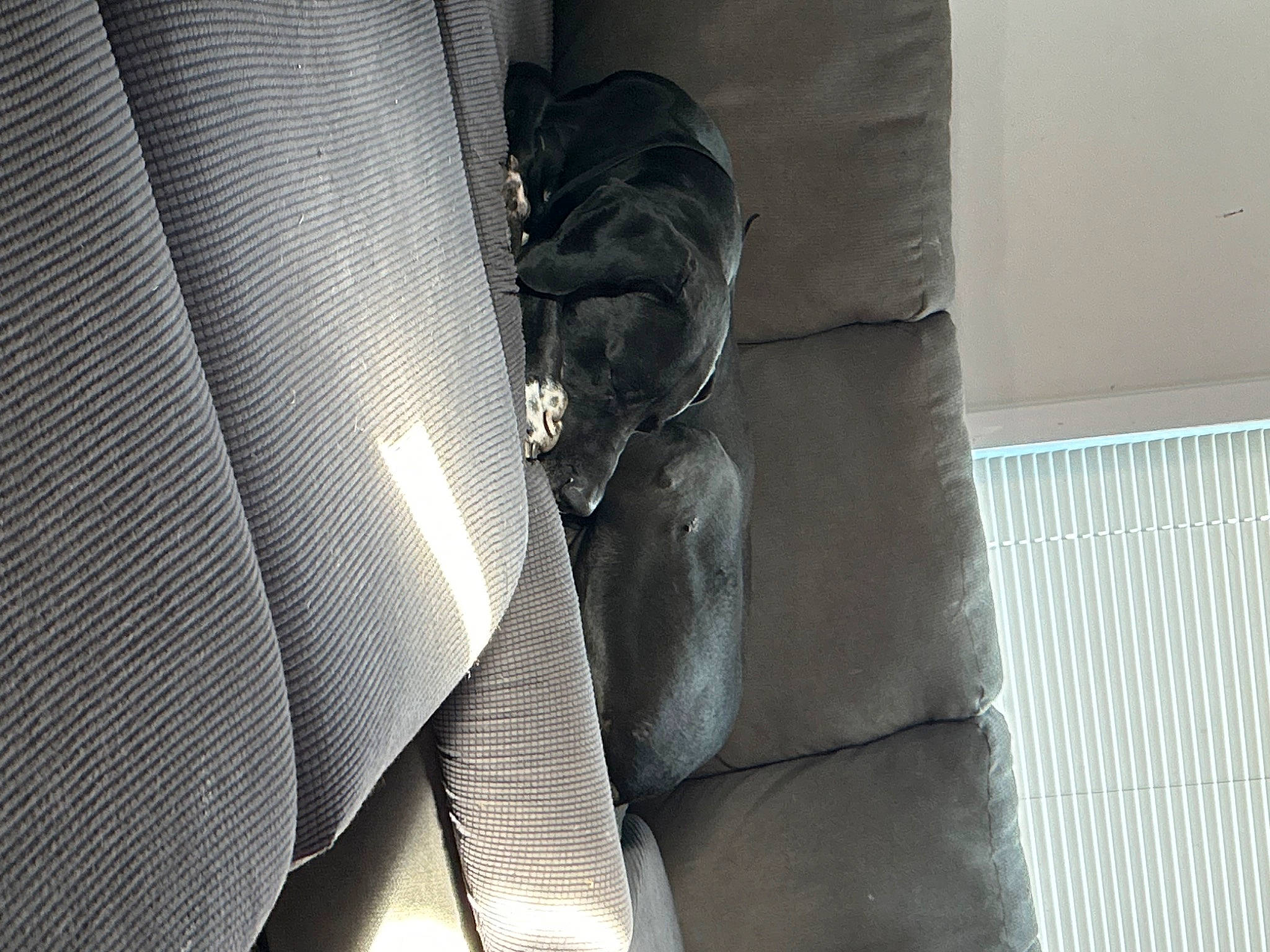 Mac is registered to the contest to win money with this photo: auto_part, comfort, composite_material, fashion_accessory, fixture, flooring, human_leg, metal, pattern, room, textile, thigh, tints_and_shades