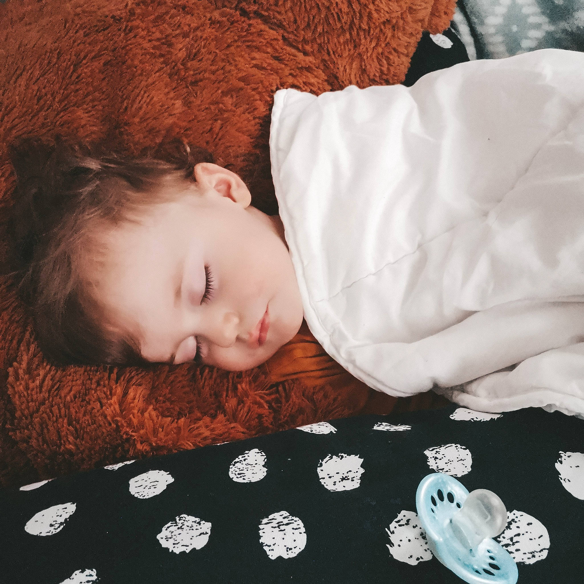 Timour participe au concours pour gagner de l'argent avec cette photo : baby, comfort, fur, lip, nap, person, portrait_photography, red_hair, sleep