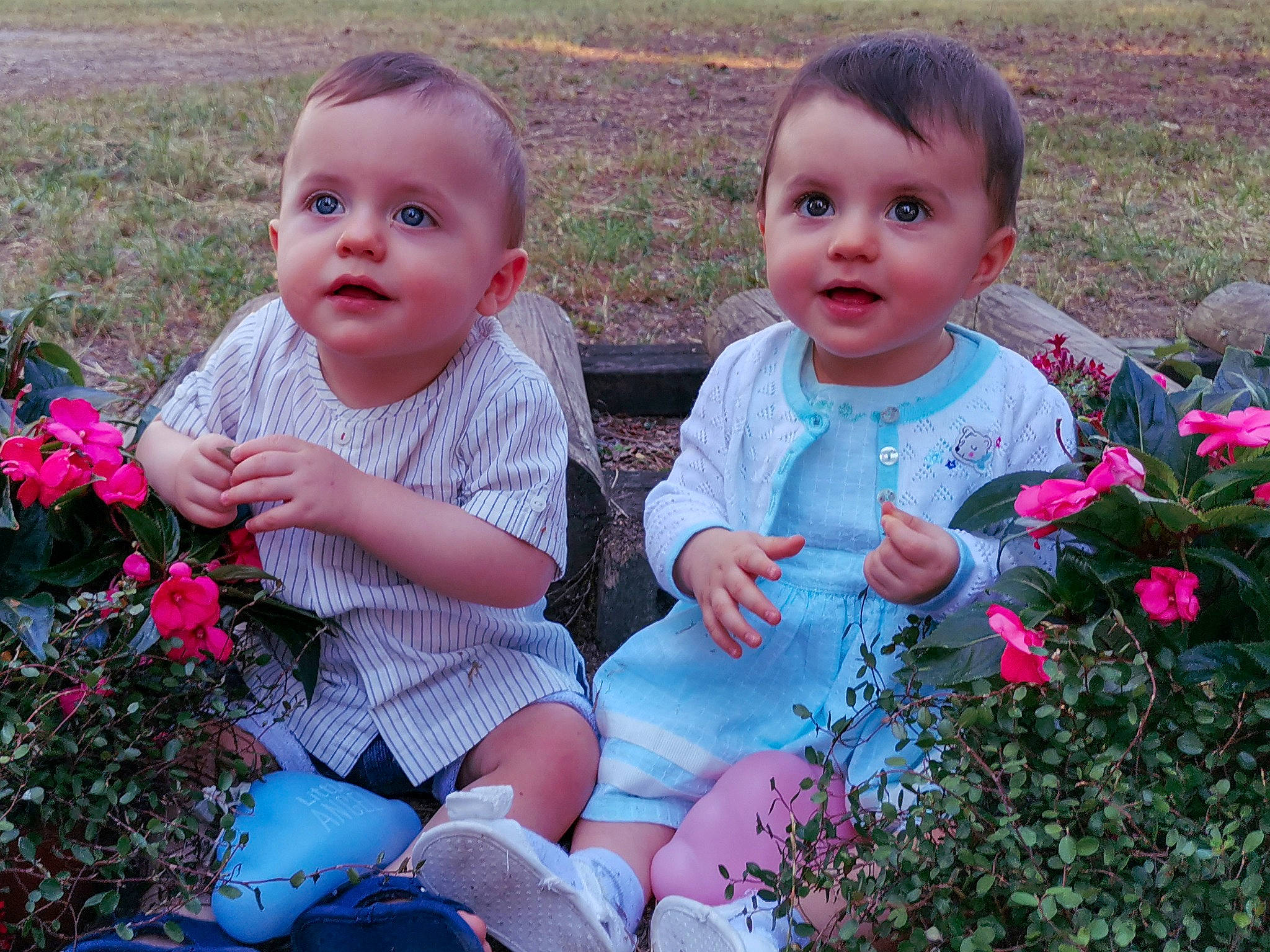 Timour a rejoint le concours — aidez-le/la à gagner de superbes lots ! annual_plant, baby, baby_toddler_clothing, cheek, child, ear, face, flower, flowering_plant, garden, human, jewellery, nose, person, petal, pink, rose, rose_family, shrub, skin