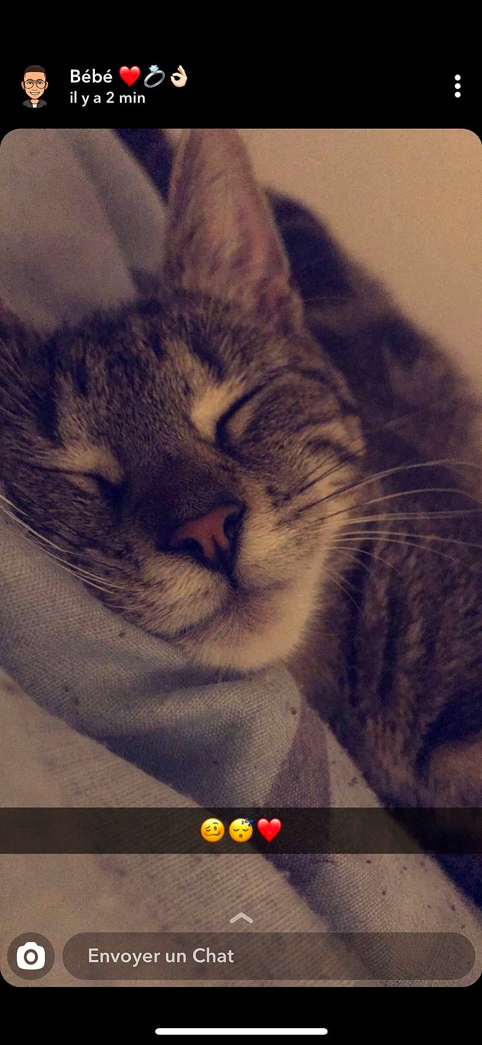 Poca participe au concours pour gagner de l'argent avec cette photo : carnivore, cat, comfort, domestic_short_haired_cat, eye, felidae, fur, iris, meteorological_phenomenon, nose, paw, photo_caption, sky, small_to_medium_sized_cats, snout, square, tail, television, whiskers, wildlife