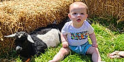 Myles joined the competition — help win amazing prizes! animal, animal_companion, baby, child, cute, daylight, farm, goat, grass, grass_field, greenery, hay_bales, infant, nature, outdoor, pet, playful, rural, summer, sunlight