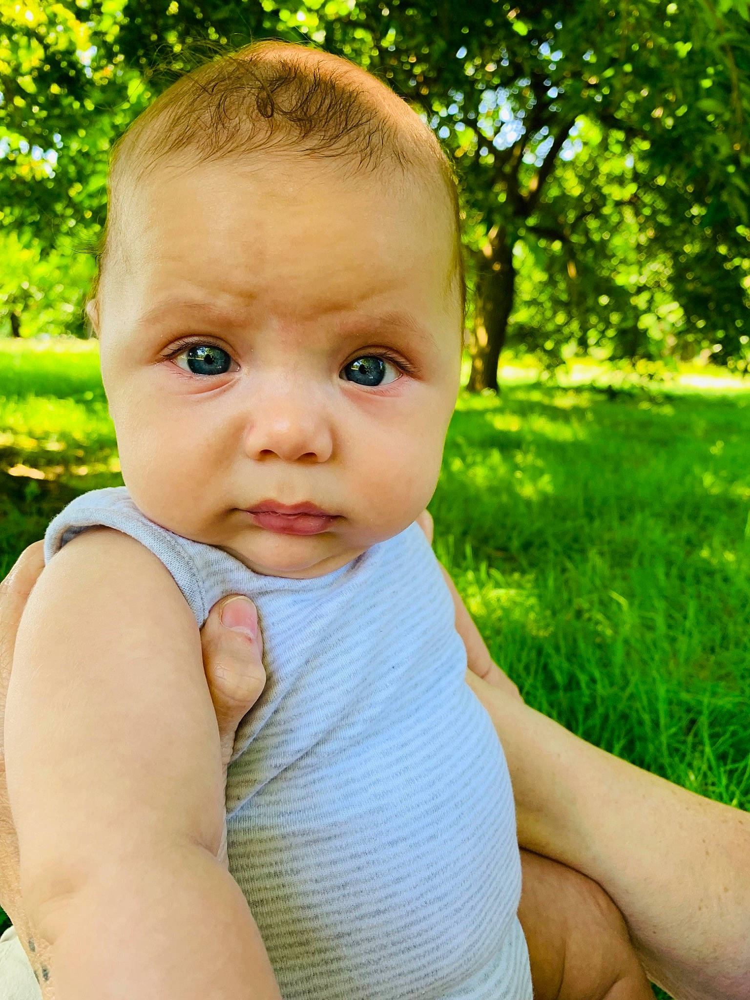 Jibril a rejoint le concours — aidez-le/la à gagner de superbes lots ! baby, baby_toddler_clothing, cheek, chin, finger, grass, green, hand, happy, human_body, iris, lip, nose, people_in_nature, person, plant, skin, sunlight, toddler, tree