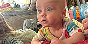 Atlas joined the competition — help win amazing prizes! baby, child, colorful_clothing, red_blanket, indoor, living_room, curious, wide_eyes, face, person, furniture, chair, flag, window, curtain, household_items, floor, couch, hand, portrait