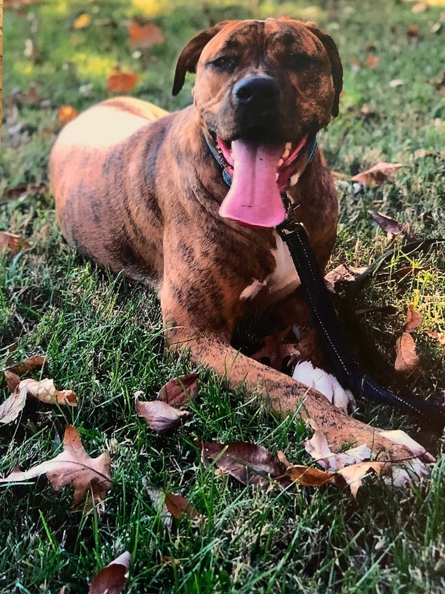 Tucker