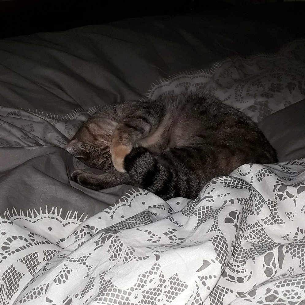 Pepette