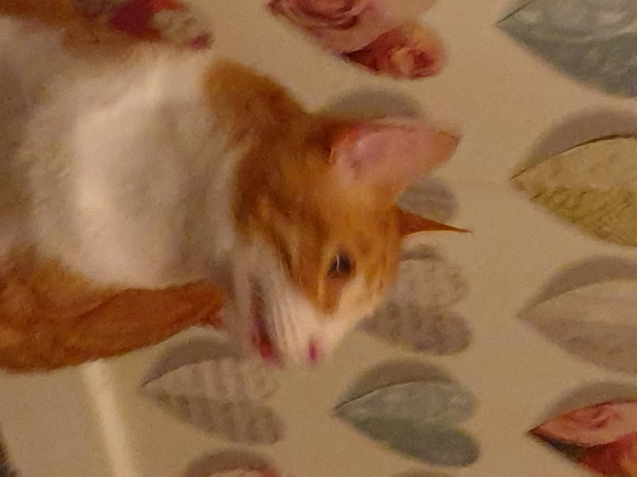 Azzy is registered to the contest to win money with this photo: art, carnivore, cat, cat_supply, claw, domestic_short_haired_cat, fawn, felidae, fur, illustration, painting, paw, peach, pet_supply, small_to_medium_sized_cats, snout, tail, visual_arts, whiskers, wood