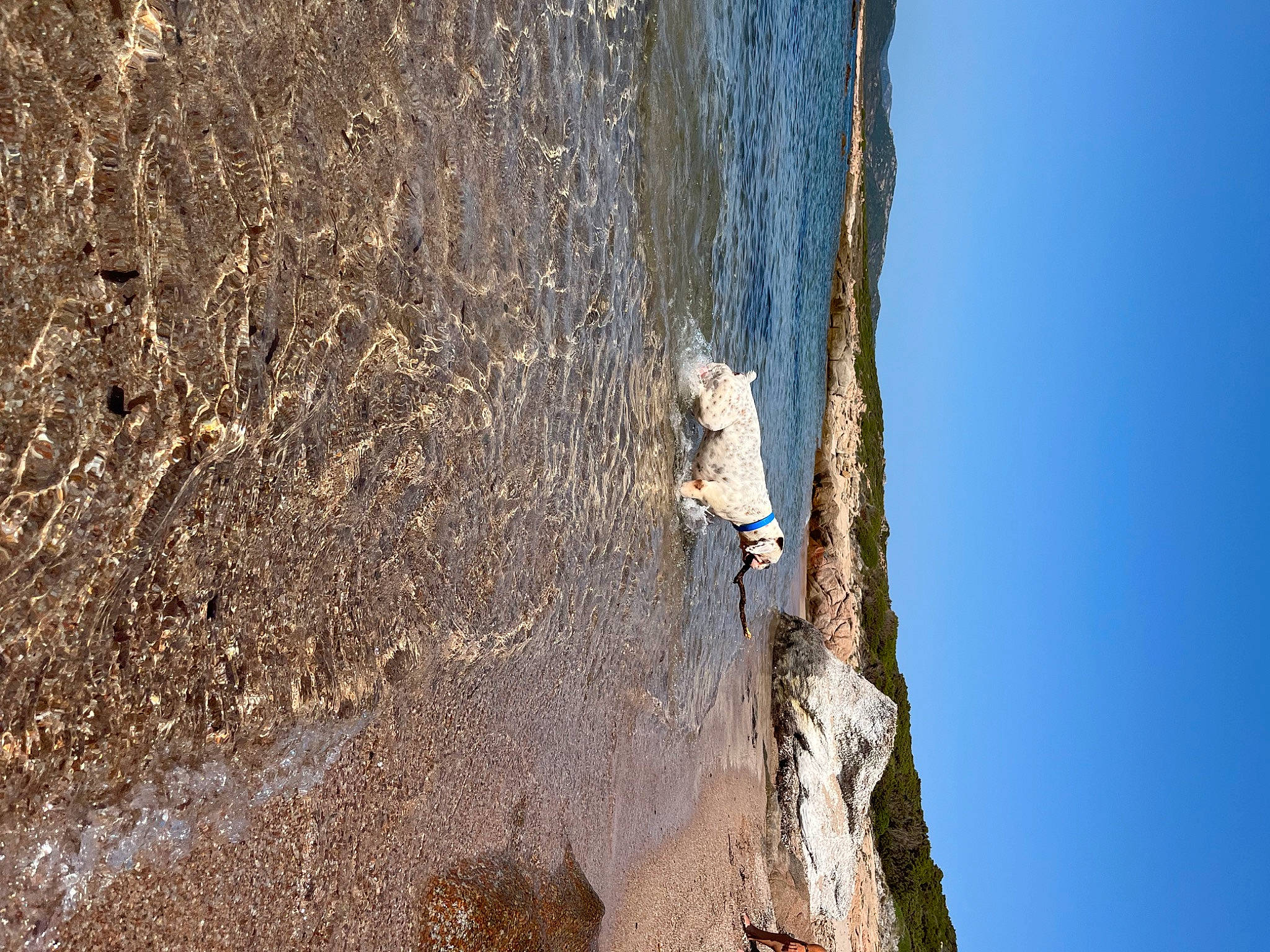 Fantôme a rejoint le concours — aidez-le/la à gagner de superbes lots ! adventure, bedrock, cliff, escarpment, extreme_sport, klippe, lake, landscape, leisure, plant, recreation, rock, shadow, sky, soil, sport_climbing, tree, trunk, water, wood