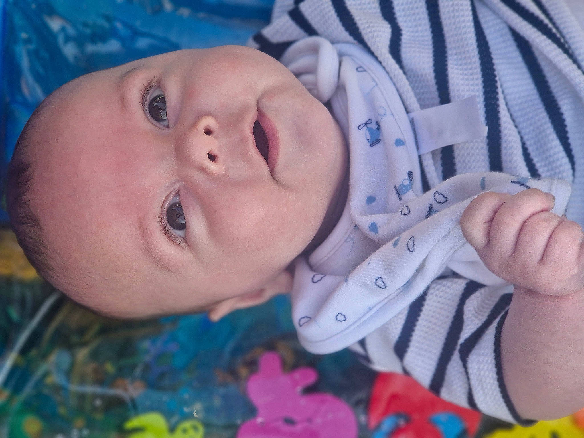 Harry joined the competition — help win amazing prizes! baby, baby_products, baby_toddler_clothing, cheek, child, electric_blue, eyelash, finger, gesture, grass, happy, iris, lip, mouth, nail, nose, pattern, person, skin, smile