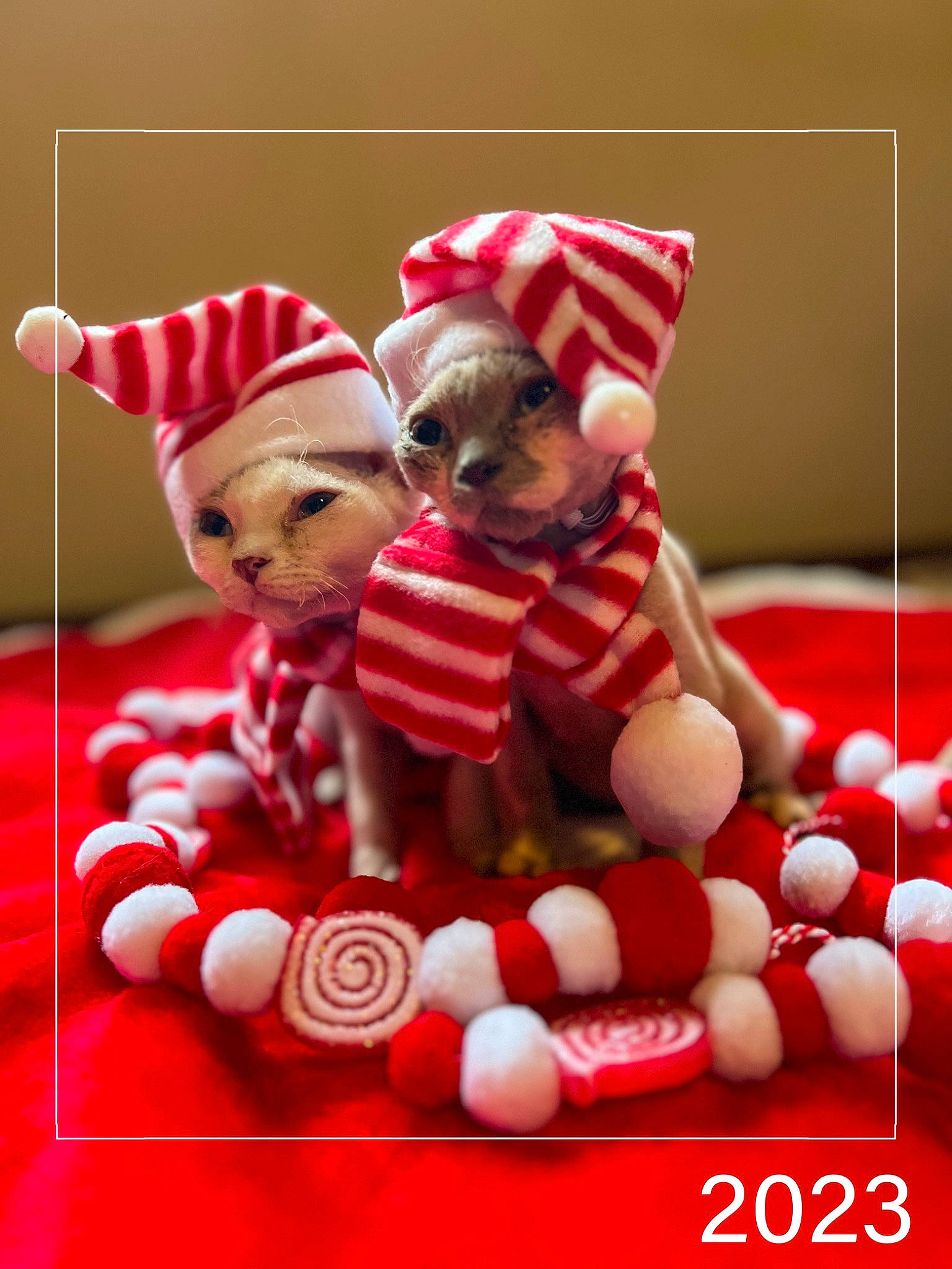Francesca And Theodore is registered to the contest to win money with this photo: art, carmine, child, christmas, christmas_decoration, christmas_eve, christmas_ornament, doll, event, fawn, fictional_character, holiday, holiday_ornament, human_body, ornament, pattern, santa_claus, stuffed_toy, toy, tree