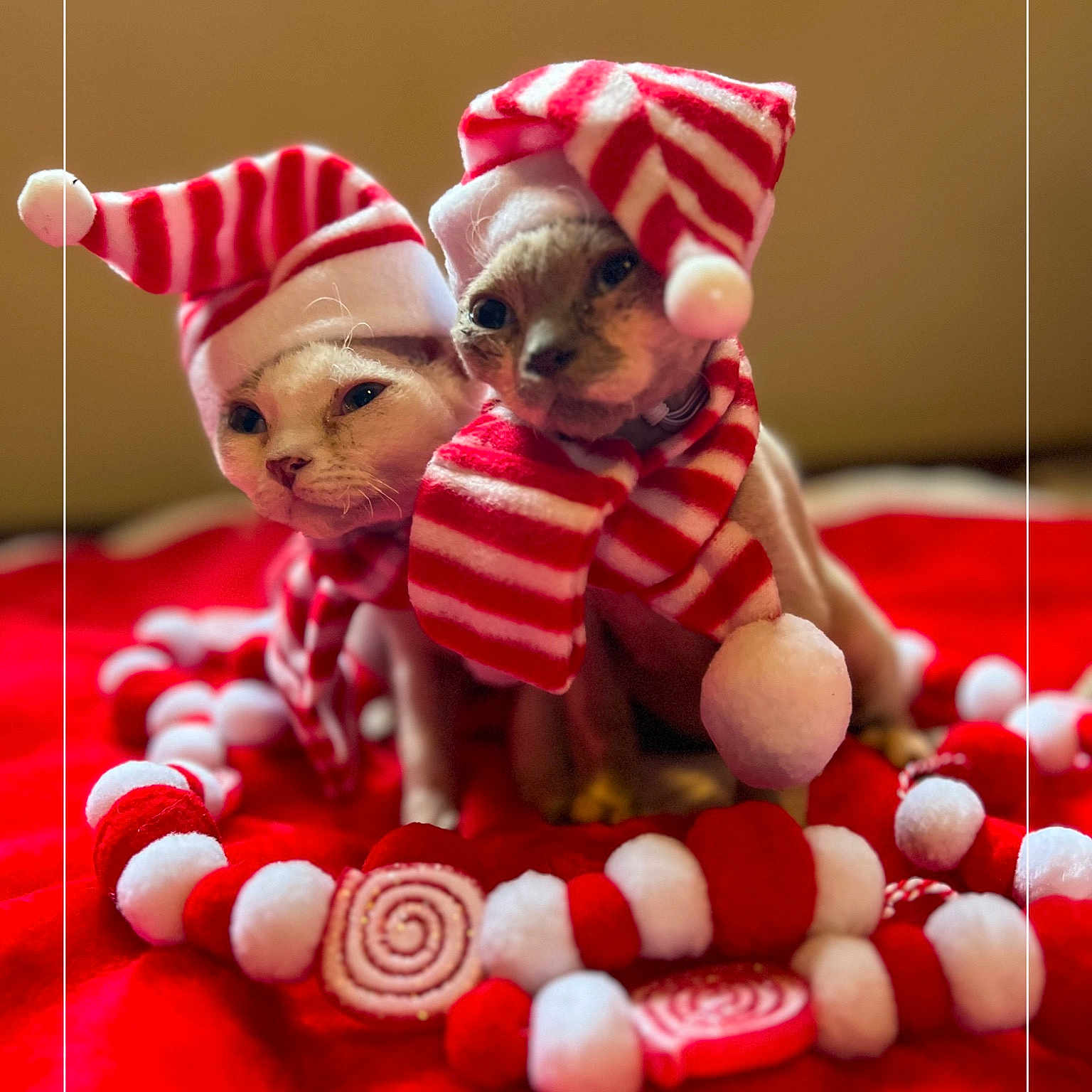 Francesca And Theodore