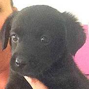 SCOOBY participe au concours pour gagner de l'argent avec cette photo :