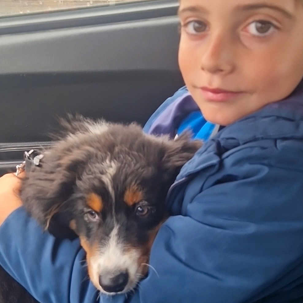 Nathan a rejoint le concours — aidez-le/la à gagner de superbes lots ! animal, boy, canine, child, clothing, coat, dog, face, head, hound, jacket, lady, male, pants, person, pet, photography, portrait, puppy, sitting