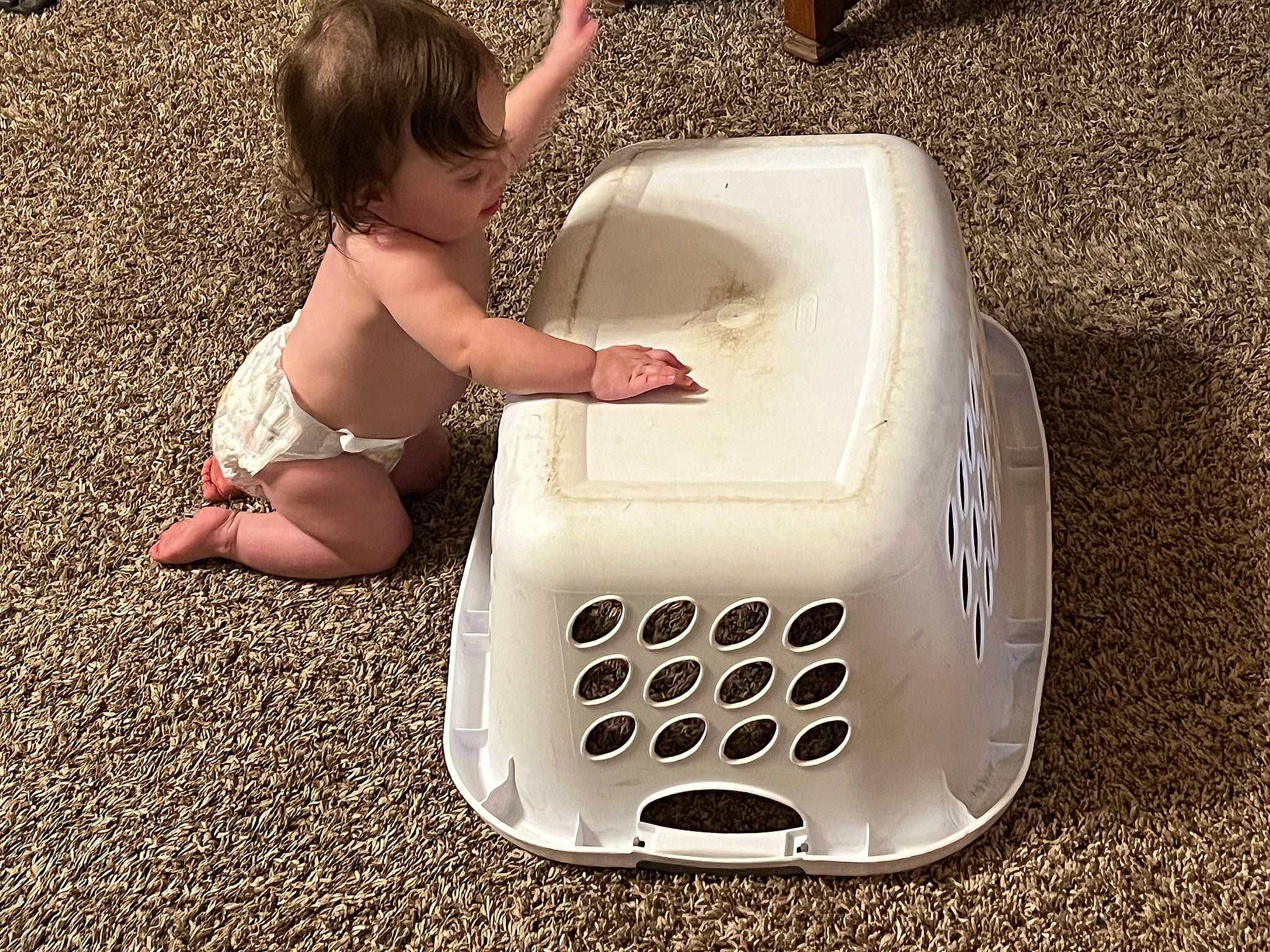 Scarlet is registered to the contest to win money with this photo: auto_part, automotive_design, automotive_exterior, automotive_tire, barefoot, bathing, bumper, child, comfort, foot, gadget, grass, home_appliance, hood, leisure, output_device, person, recreation, swimwear, thigh