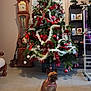 bow_tie, christmas_tree, clock, curtain, decor, dog, festive, floor, furniture, gift, green, holiday_decorations, indoor, ornaments, pet, photograph, red, room, shelf, tinsel