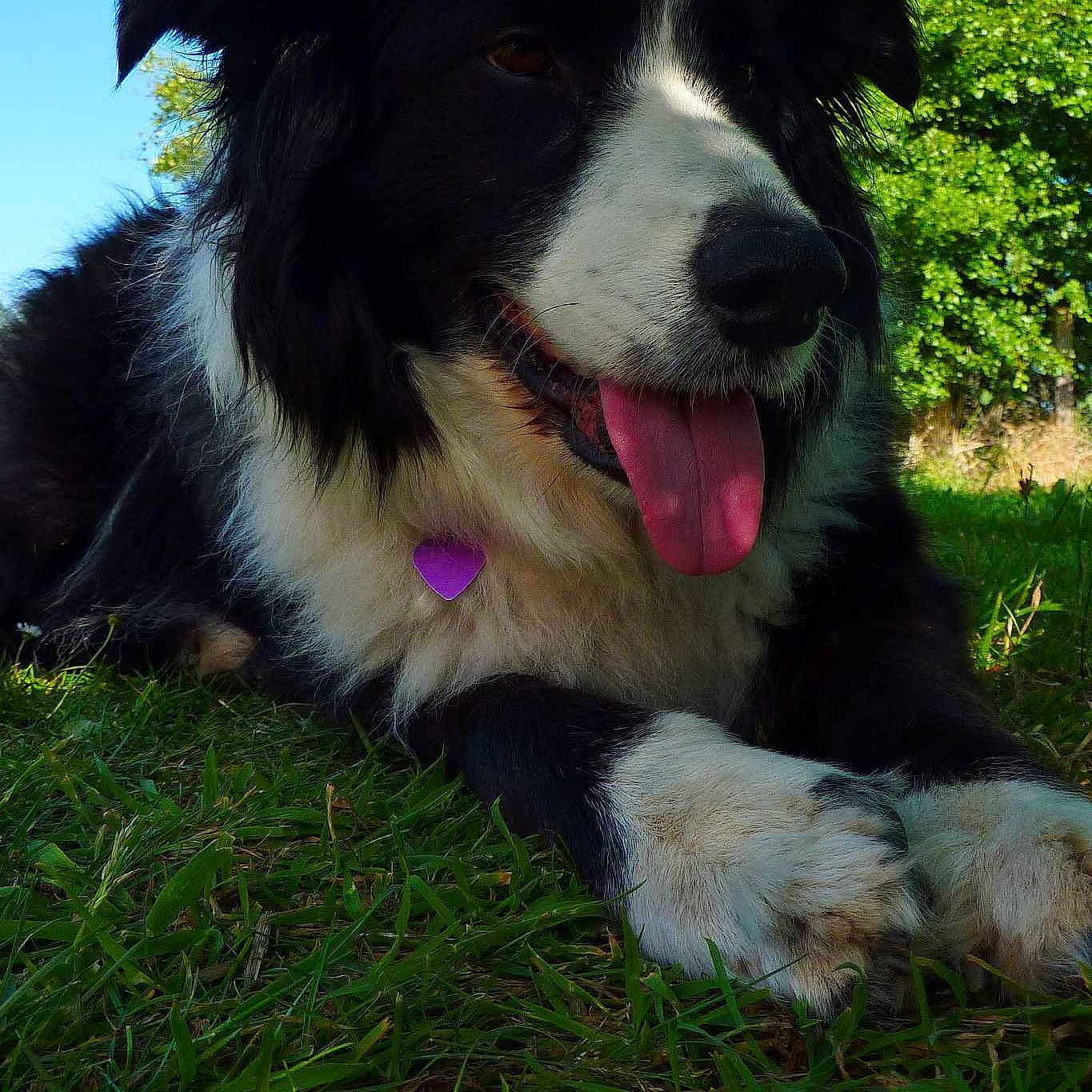 Islay joined the competition — help win amazing prizes!