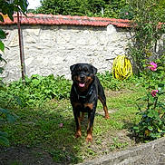 Clean a rejoint le concours — aidez-le/la à gagner de superbes lots !