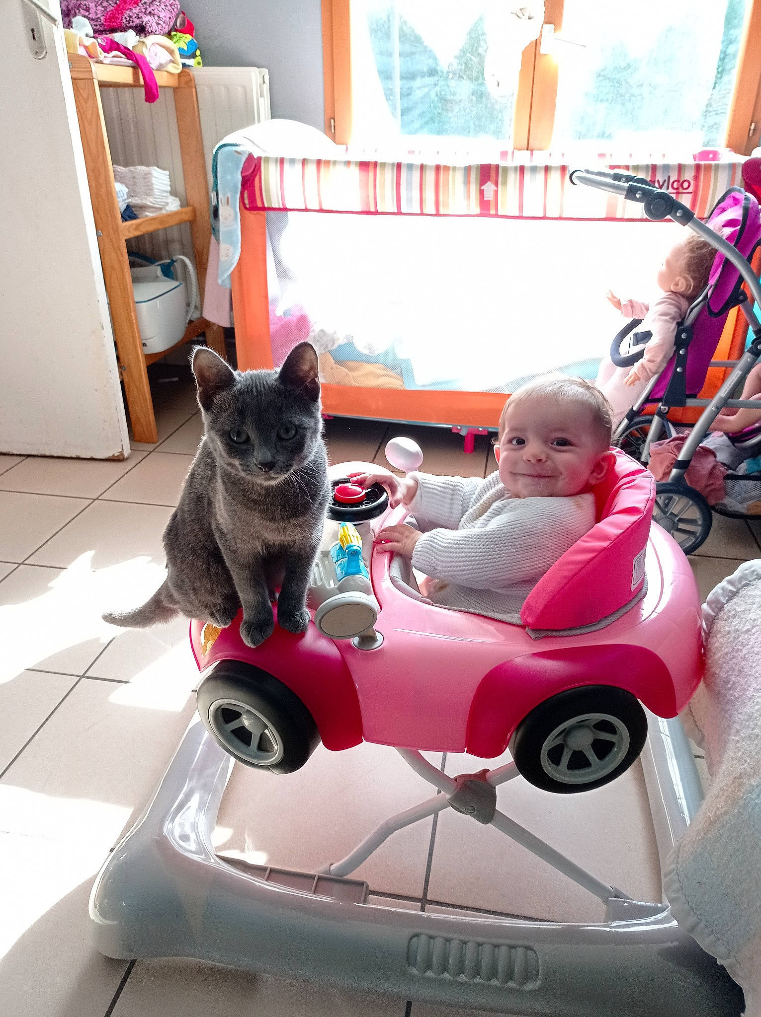Ambre participe au concours pour gagner de l'argent avec cette photo : automotive_design, automotive_tire, baby, car, carnivore, cat, comfort, curtain, felidae, hood, joy, living_room, motor_vehicle, person, pink, red, shelf, toddler, toy, wheel