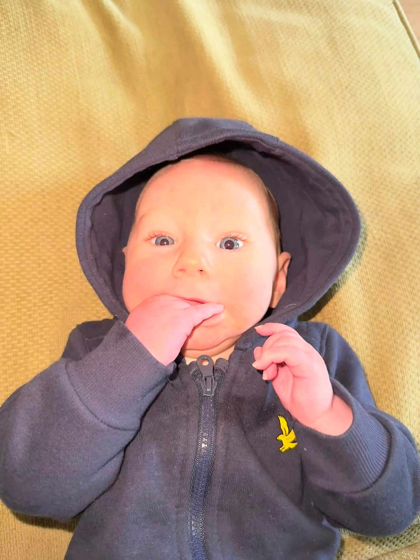 Oscar-Dayne