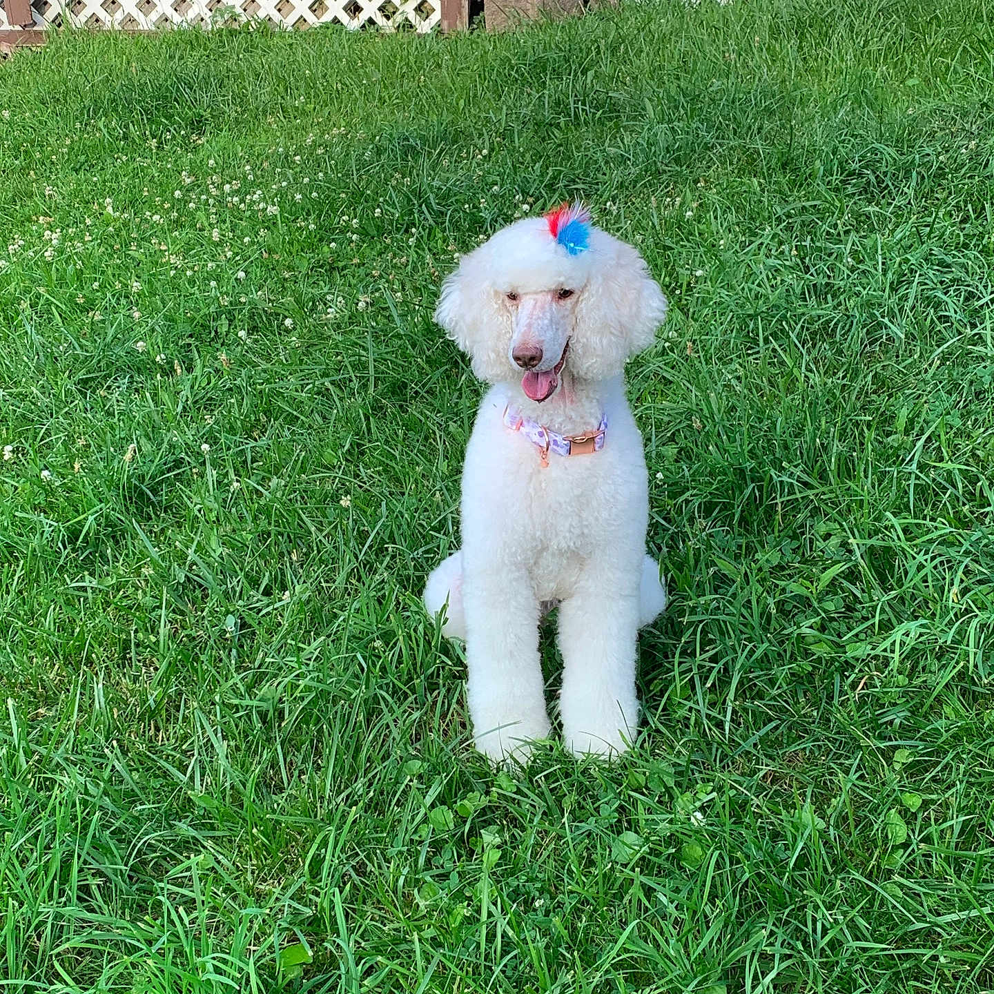 Chloe