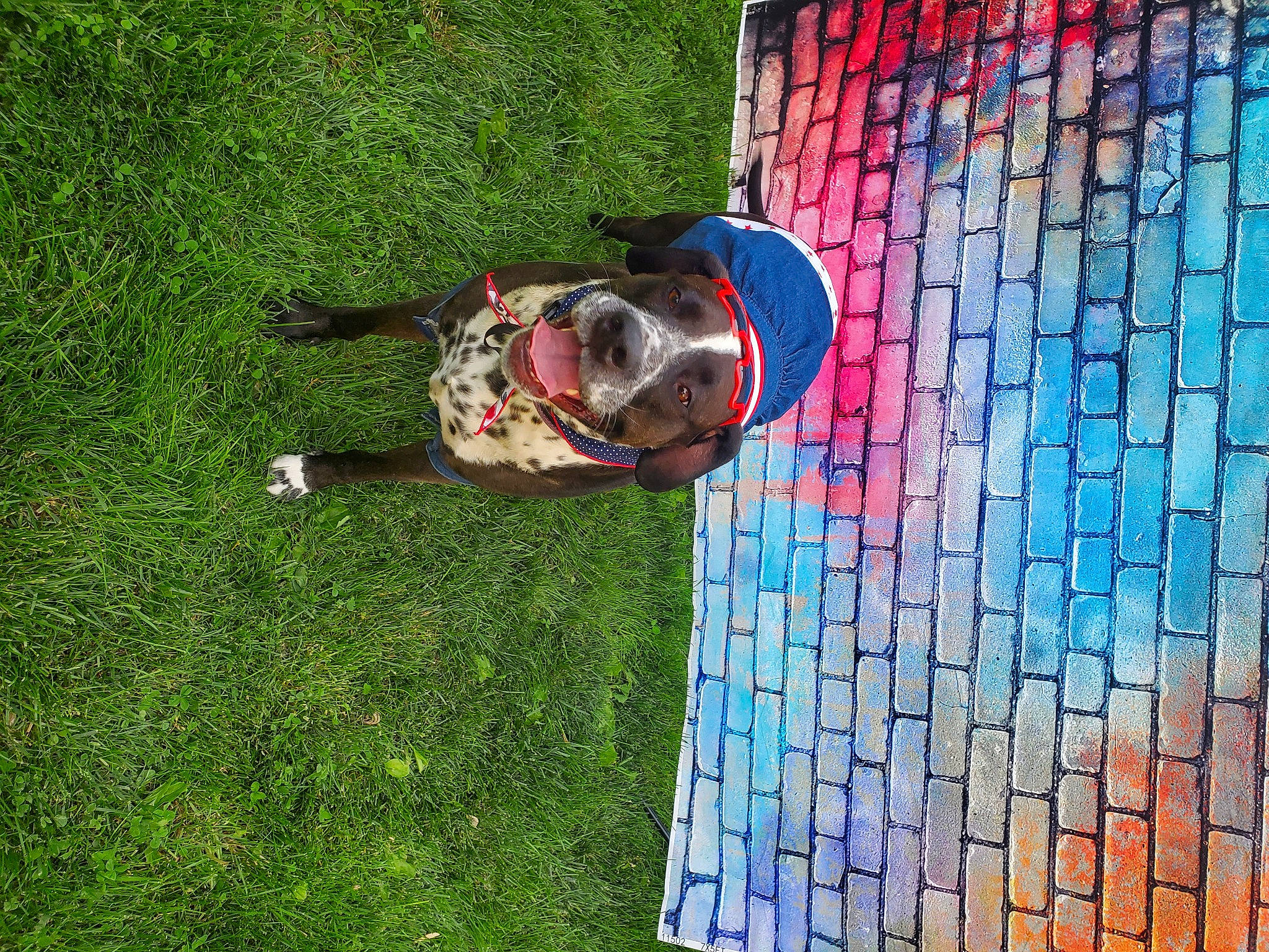 Bristol joined the competition — help win amazing prizes! electric_blue, fun, grass, lawn, leisure, pattern, people_in_nature, plant, recreation, tints_and_shades, tree, wood, yard