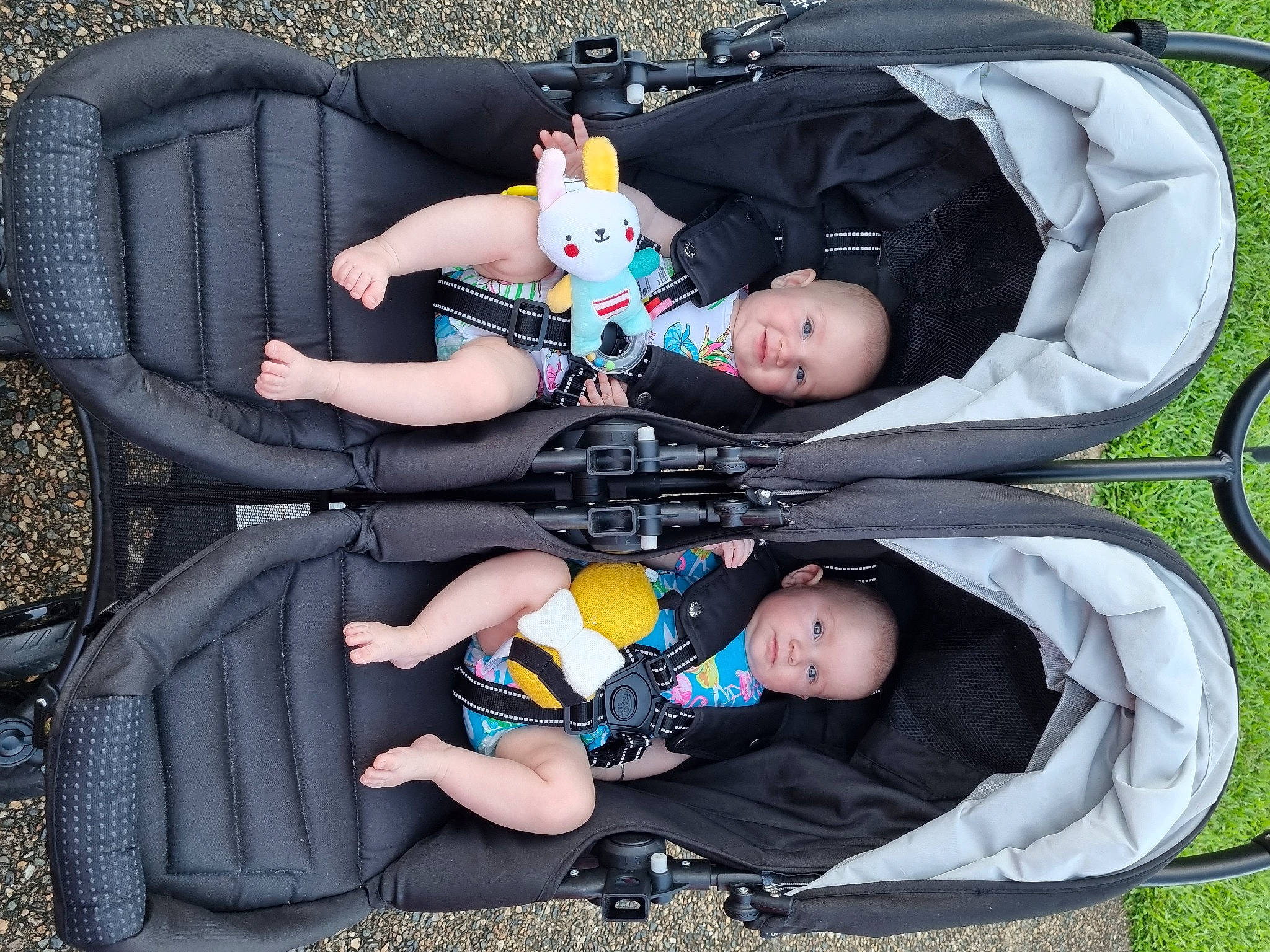 Billie is registered to the contest to win money with this photo: auto_part, baby, baby_carriage, baby_products, baby_toddler_clothing, black, car_seat, child, comfort, grass, green, human_body, joy, lap, leg, leisure, person, product, recreation, sitting