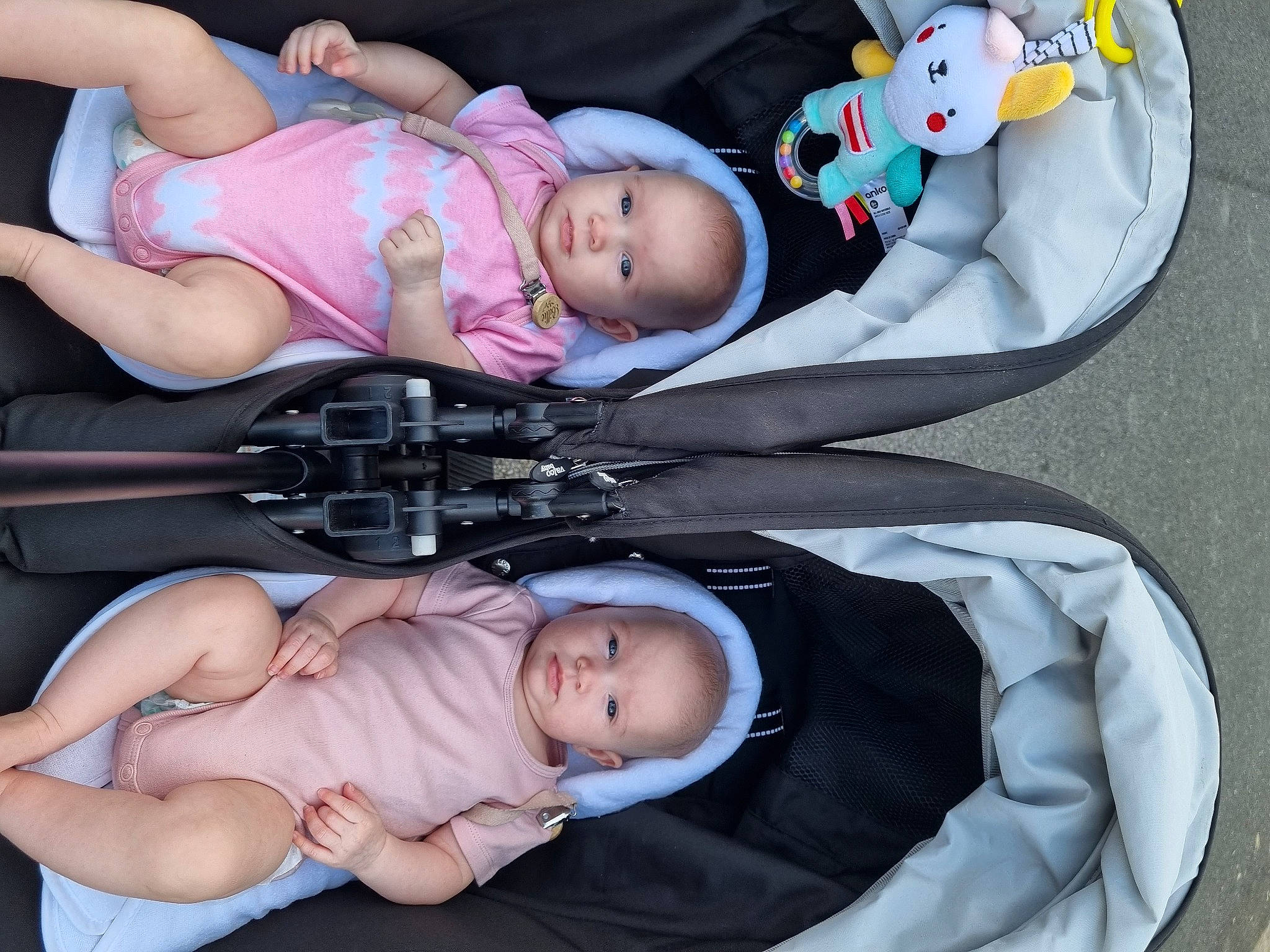 Elyssa is registered to the contest to win money with this photo: baby, baby_products, baby_safety, baby_toddler_clothing, child, clothing, comfort, face, hand, head, organ, people, person, photograph, product, sitting, skin, thigh, thumb, toddler